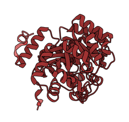 Nonref Protein